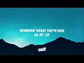 Miley Cyrus - Adore You (Lyrics) | when you say you love me know I love you more (432Hz)