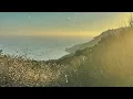 Christian Löffler feat. Shallou - Free