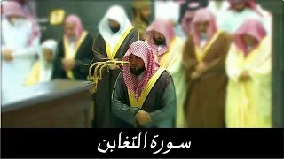سـورة التغابن بأداء تدب ري ي حبر الشيخ د ماهر المعيقلي أروع التلاوات رمضان ١٤٣٩هـ 