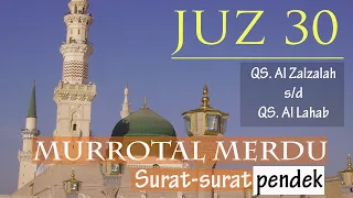 Download Murrotal Juz 30 Surat Al Zalzalah - Surat Al Lahab || Syeikh Hani Ar Rifai || Yuk Ngaji || Tilawah MP3