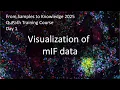Visualizing and Managing Multiplex Immunofluorescence Data in QuPath