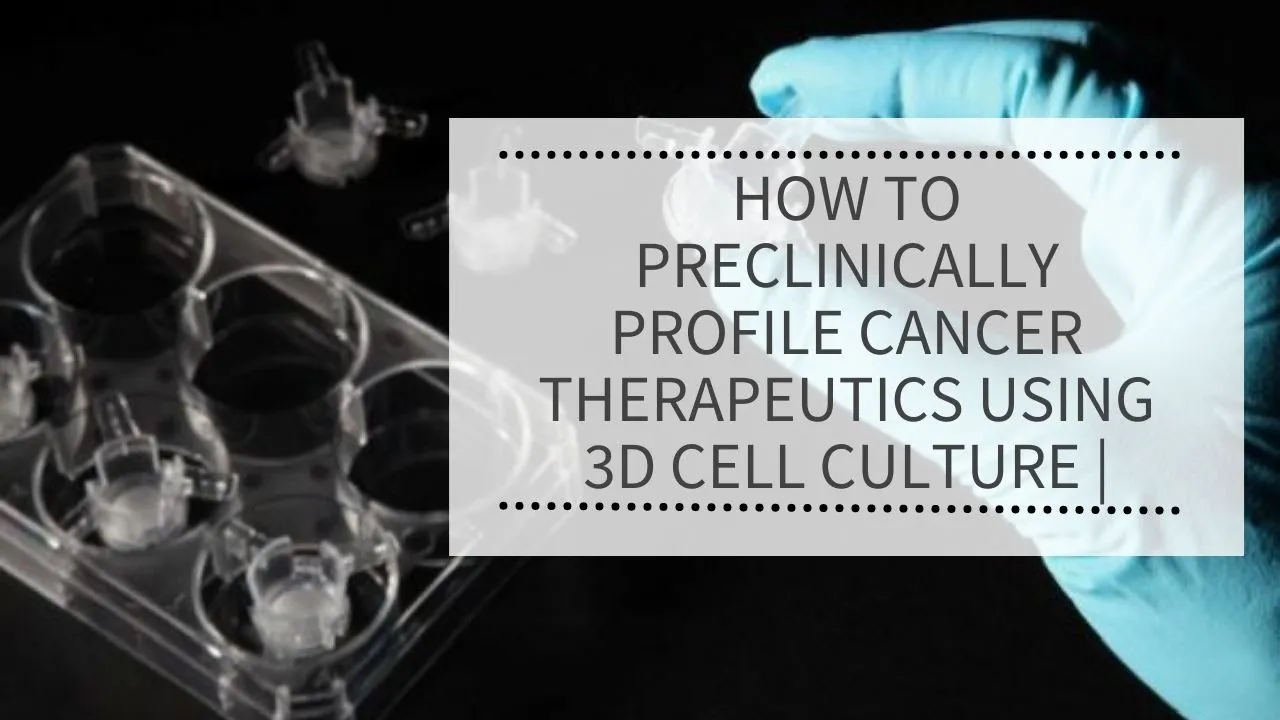 How to preclinically profile cancer therapeutics using 3D Cell Culture | REPROCELL (Alvevtex)