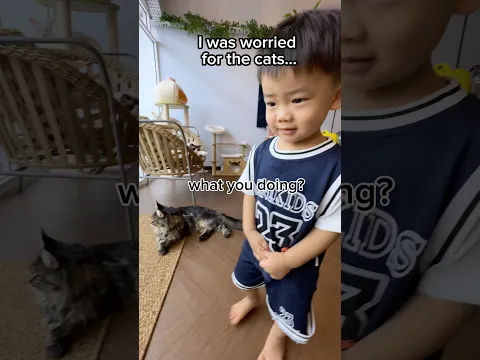 surprising my toddler with cats 🙀