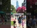 Emerging Crime Patterns in Dallas-Fort Worth