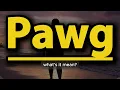 What does Pawg mean Pawg meaning explained