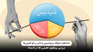 بررسی پرتفوی صندوق های اهرمی در آذر ماه   اهرم  شتاب موج  توان  نارنج  بیدار و جهش دندنها
