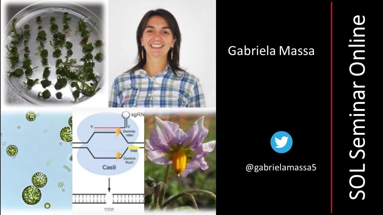 Gabriela Massa - Advances and perspectives of potato breeding by gene editing