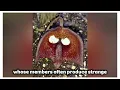 Every Plant That Looks FAKE But Isn't Explained in 13 minutes 