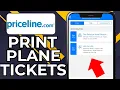 HOW TO PRINT PLANE TICKETS FROM PRICELINE 2026