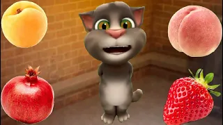 توم مع اغنية ألقطة المشمشية جديد 