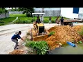 Download Lagu Starting a New Landfill Project! Using Dozer D20A Pushing Soil with 5Ton Truck Unloading Soil