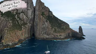 E126 – Cathedral Rock, Cape Pillar & Bruny Island Little Penguins