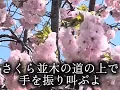 🎶さくら（独唱）/森山直太朗　歌詞字幕入り