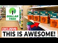 NEW at DOLLAR TREE 12 Items That WON T LAST And 4 to Avoid August 2026