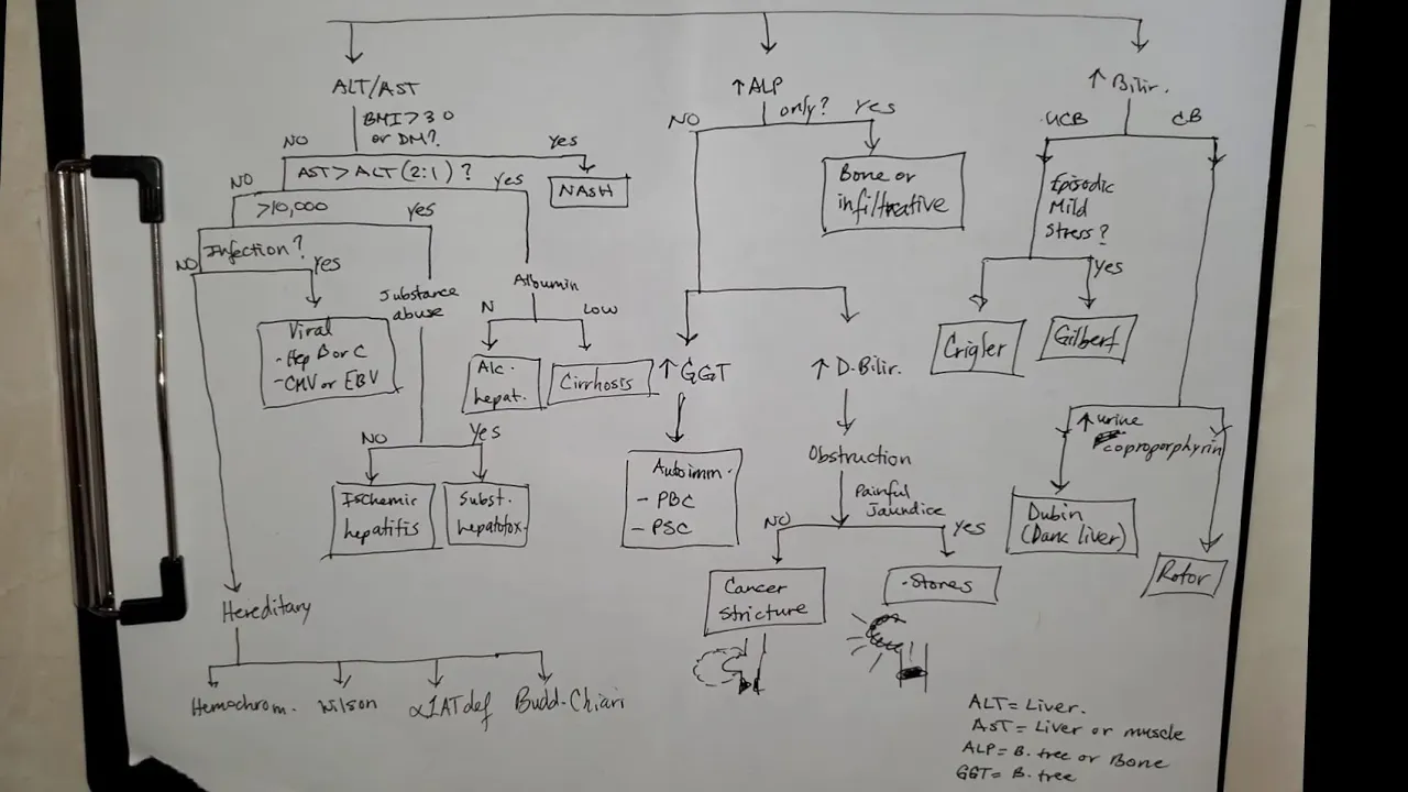Liver & Biliary Tree Enzymes: ALT, AST, ALP Flowchart