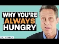 Download Lagu Always hungry? Here's why.