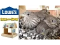 Lowes Build Grow Bird Feeder or Bird House