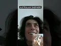 How Dog Breeds React to Robbers With Pictures