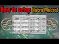 How to install and setup Natro Macro 2026 Roblox Bee Swarm Simulator