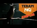 Download Lagu KAPAS TEMBAK GACOR || TERAPI KAPAS TEMBAK PAGI HARI