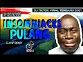 Download Lagu DJ INSOMNIACKS PULANG TIKTOK VIRAL 2021 | DUYLIZER REMIX