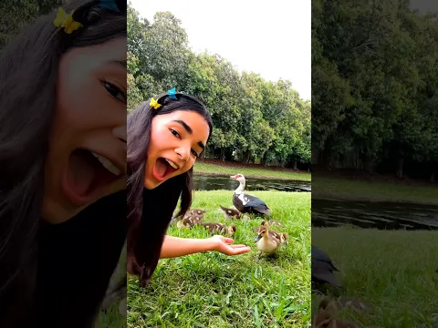 Ahora puedo hablar como un pájaro 😳🐦 Real o falso? Truth or not? #hacks