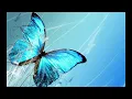 R3HAB, GATTUSO - Creep mint singles