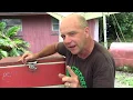 Vingage Coleman Big Red Cooler
