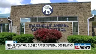 Dog deaths at Evansville Animal Control spur temporary closure