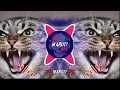 Download Lagu CAT × SOUND EDM TRANCE DJ MARUTI MPC DHARWAD