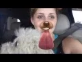 Kriser s Natural Pet Store
