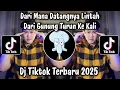 Download Lagu DARI MANA DATANGNYA LINTAH DARI GUNUNG TURUN KEKALI - DJ RASA SAYANGE VIRAL TIKTOK TERBARU 2025 !!!