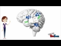 Early Reading How Children Learn to Decode