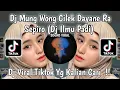 Download Lagu DJ ILMU PADI | MUNG WONG CILIK DAYANE RA SEPIRO RESTIANADE VIRAL TIKTOK 2024 !!