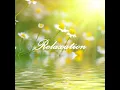 Ayurvedic Slow Music - Relaxing Sounds of Nature White Noise for Mindfulness Meditation Relaxation Music Club