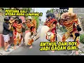 Download Lagu SANGAR BANGET !! Begini jadinya kalau Enthul \u0026 Boy jadi Wiroyudho