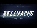 Download Lagu Billie Eilish - Bellyache (Lyrics) 1 Hour