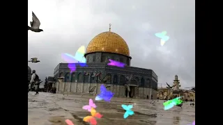    فيكي هذا القلب هام    دندنها