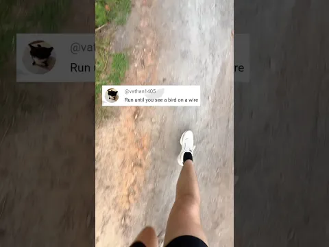 Run until: bird on a wire