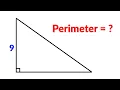 Find the perimeter of the triangle