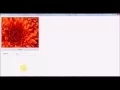 Image Processing And GDI Basics in C - Part 1
