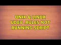 Unix Linux udev rules not running script