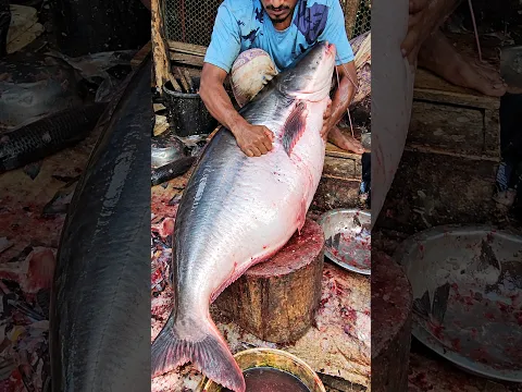 Amazing!! Individual Smart Very Big Pangas Fish Cutting Skills 😱 #shorts