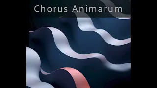Chorus Animarum