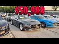 I Went to Used Car Dealership These Prices Shocked Me