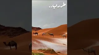 حي الرفيق اللي ليا ضاقت عليه الأرض بان بدون ايقاع خالد آل بريك 