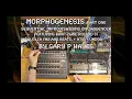 Lagu Minimalism meets Berlin School MORPHOGENESIS Pt 1 feat  Zaquencer S1 Arp2600 Volca FM2 \u0026 Beats
