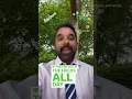Why are Pollen Counts So High Right Now - Premier Allergy Asthma