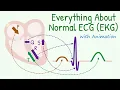 From Basics of 12 Lead ECG to How Waves are Produced Everything about Normal Electrocardiogram