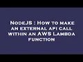 NodeJS How to make an external api call within an AWS Lambda function
